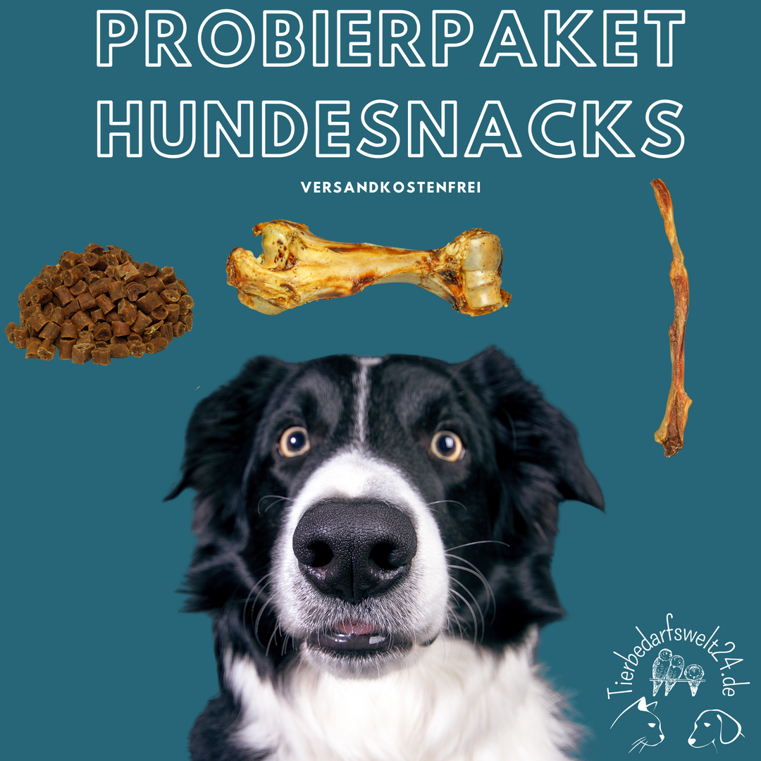 Probierpaket Hundesnacks - Tierbedarfswelt24